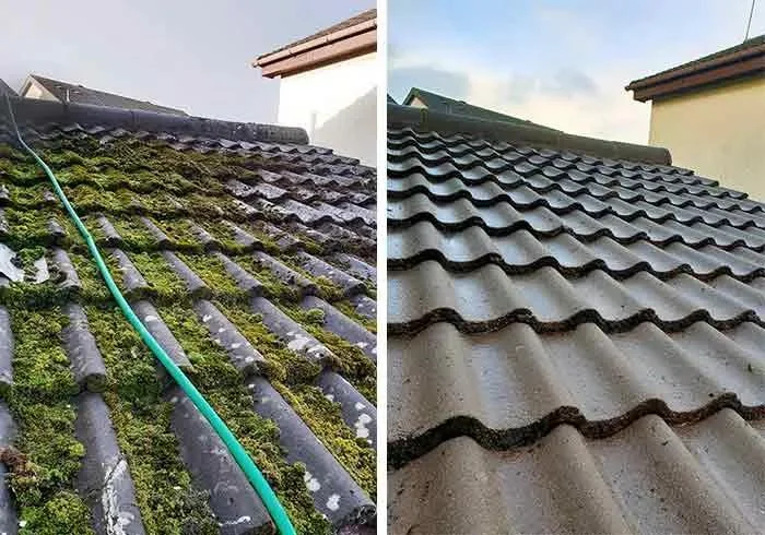 Roof repair and restoration