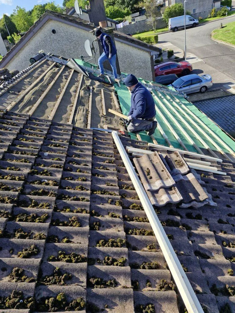 Slate roofing Dublin